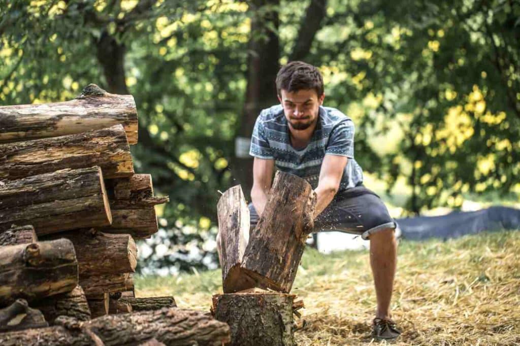 How to Negotiate Tree Removal