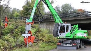When is the best time of year to remove trees