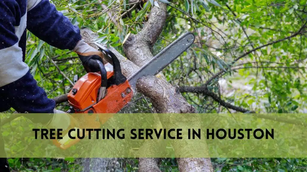 Tree Cutting Service in Houston