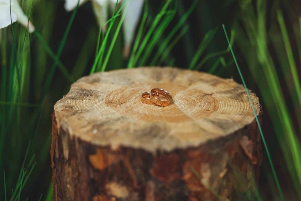 how to remove roots after stump grinding