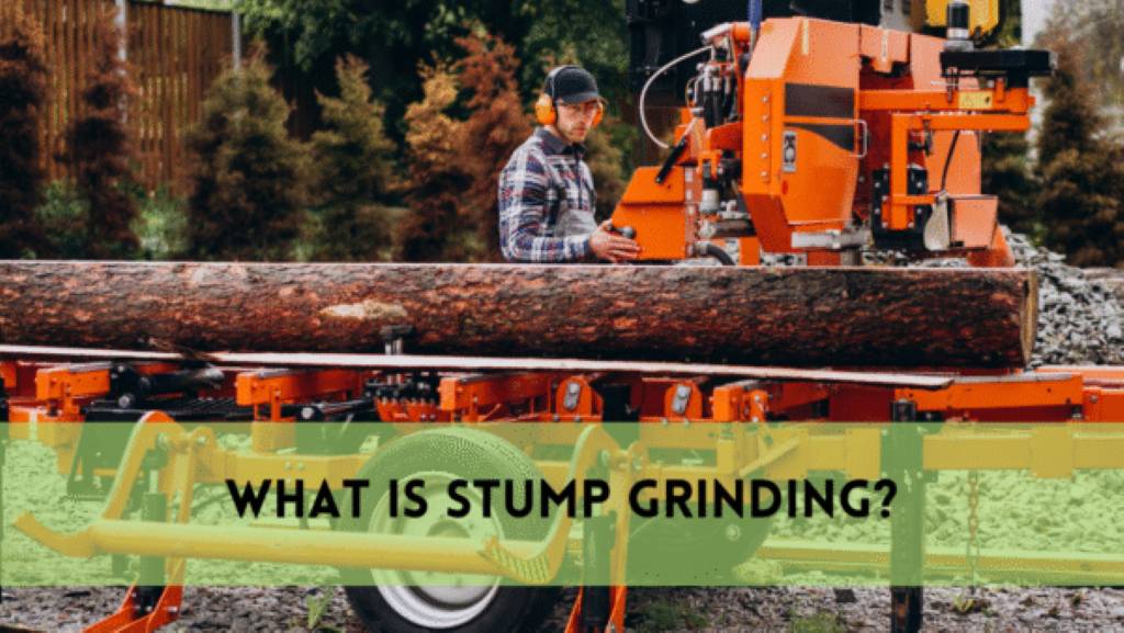 What Is Stump Grinding