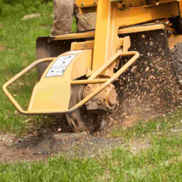 stump grinding services